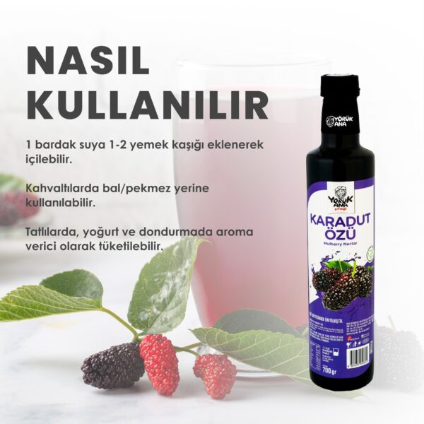 Yörük Ana Karadut Özü 700 GR