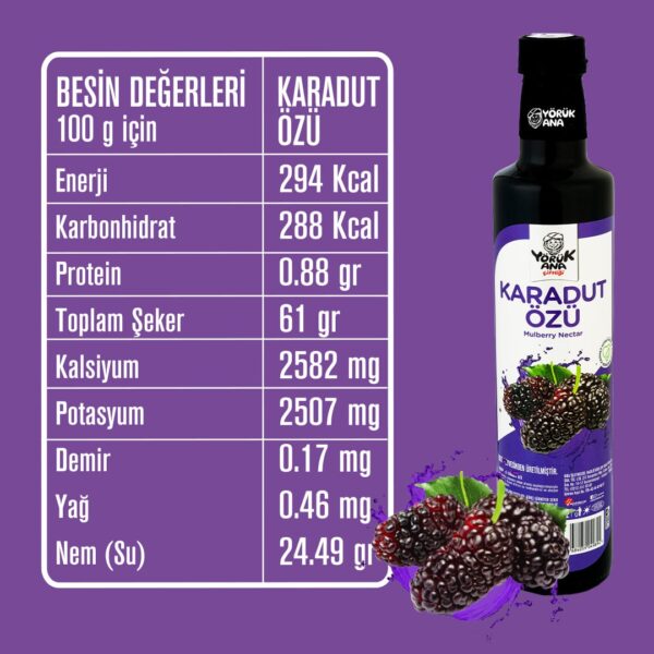 Yörük Ana Karadut Özü 700 GR