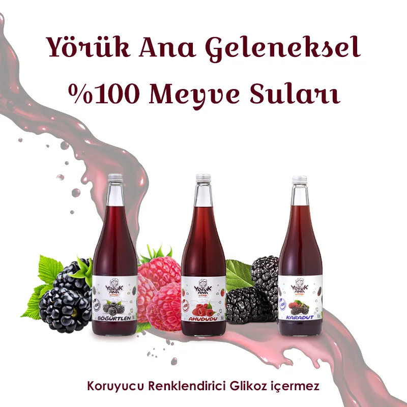 Meyve Suları