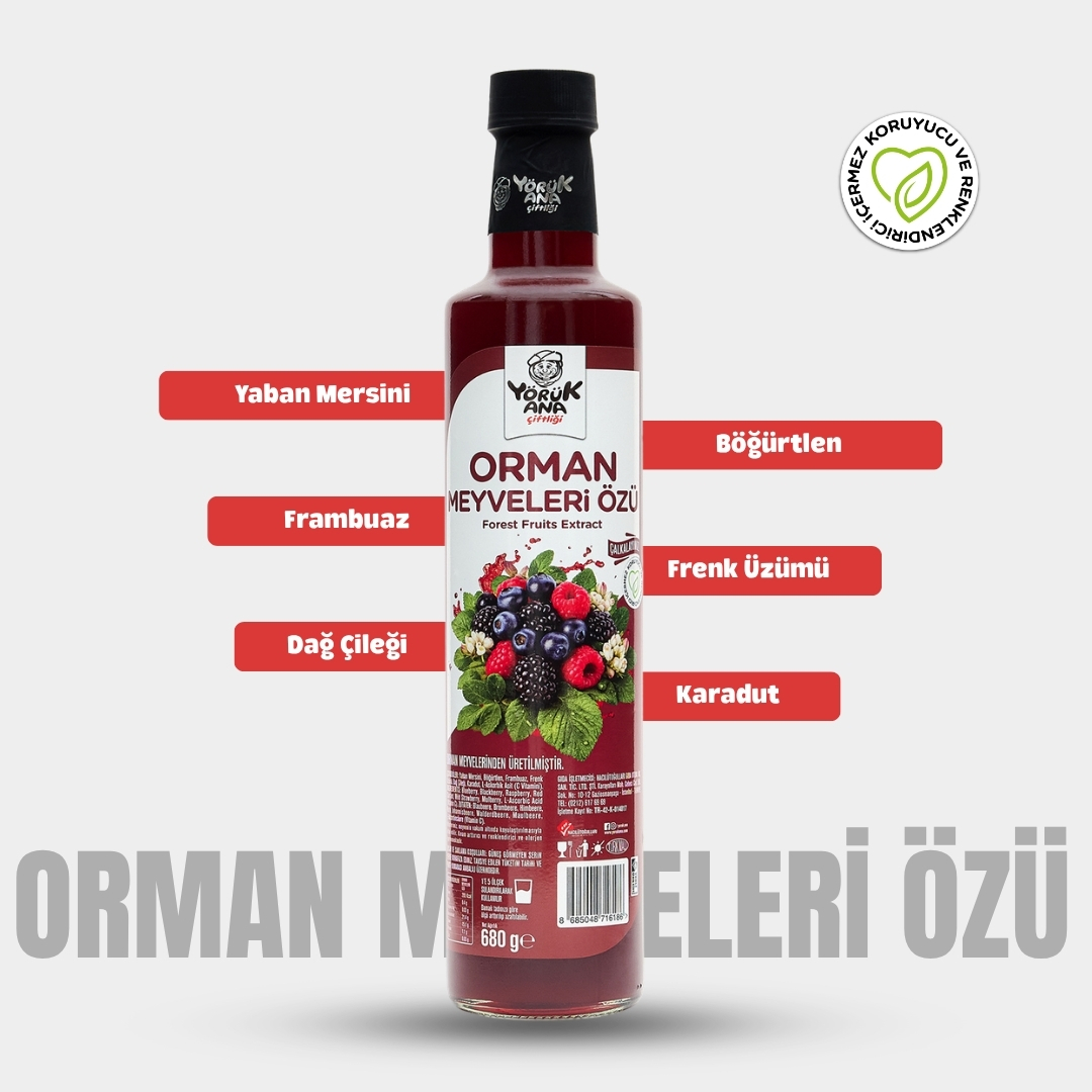 Yörük Ana Orman Meyveleri Özü 680 GR